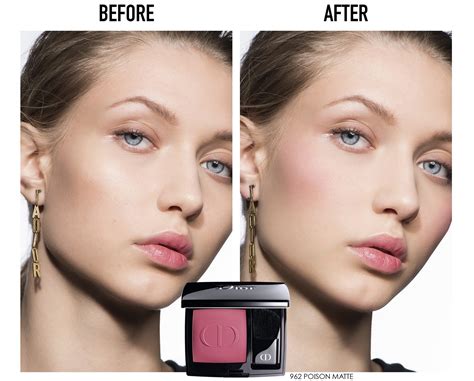 diorskin blush|dior rouge blush.